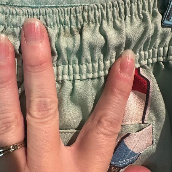 Airwalk Size Large Swimming Trunks Mint Green with Bombpop Popsicles - Picture 3 of 12